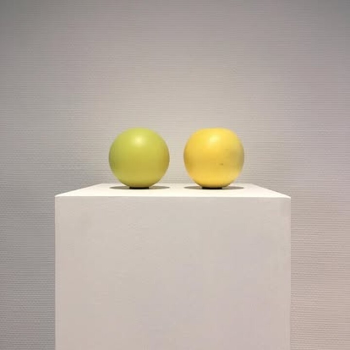 Shun-Ying Lu / ShunMade 