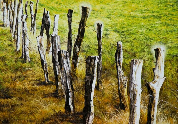 Shining fences