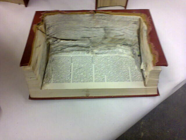 BOOKLANDSCAPES