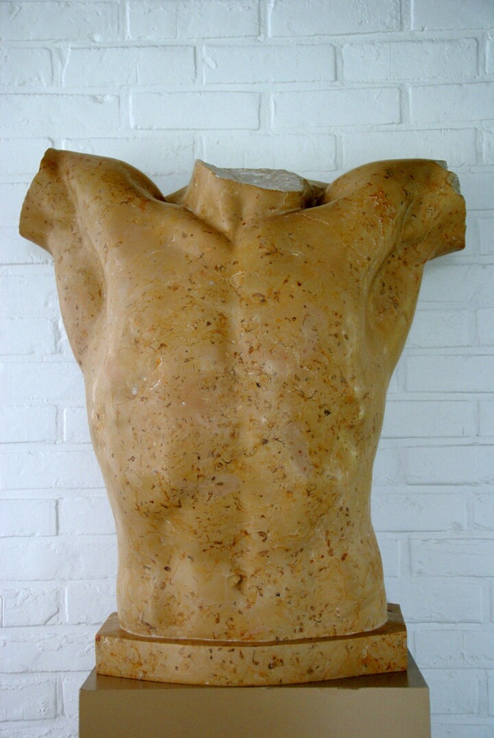 TORSO