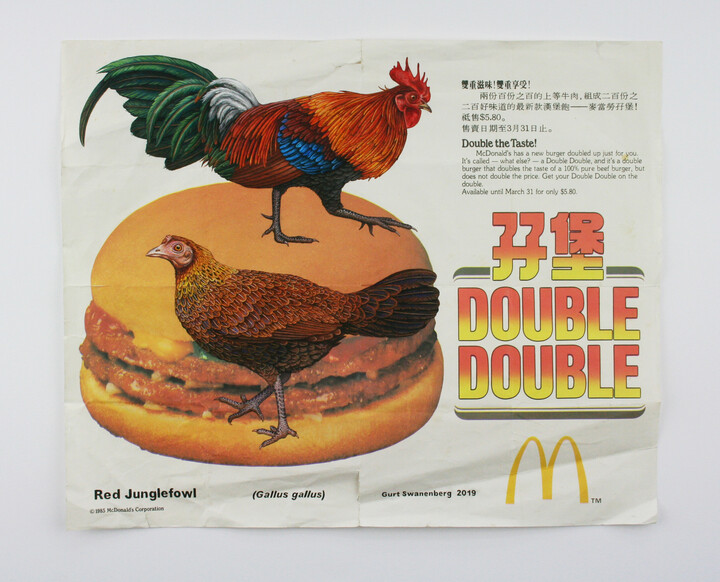Red Junglefowl