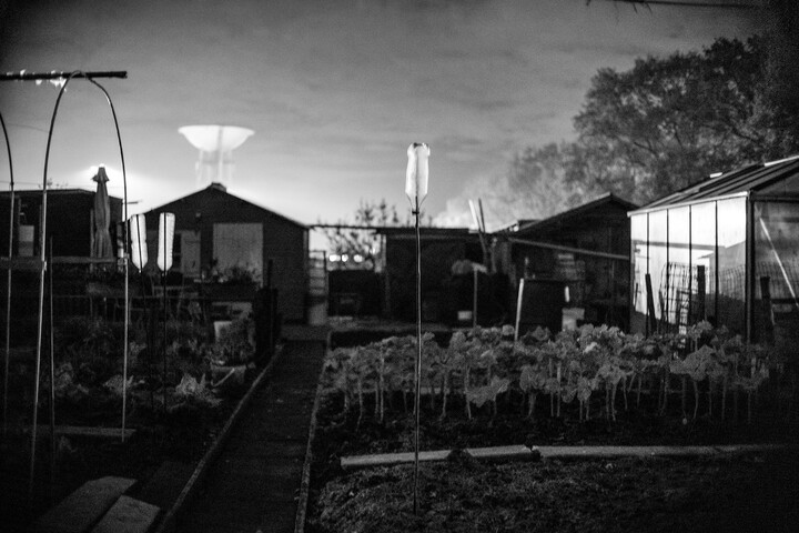 oco*3/ inner gardens