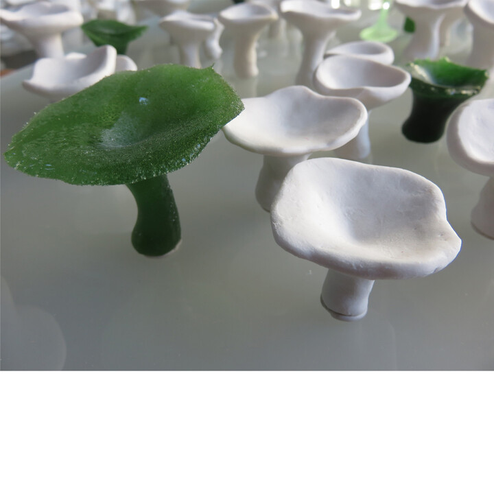 Compositie van paddestoelen