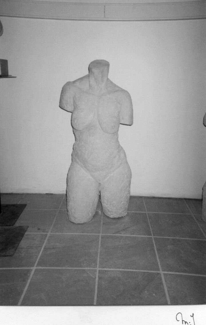 Torso