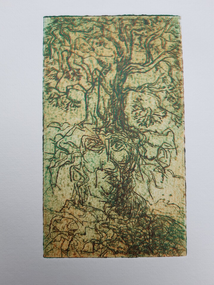 Reeks : bomen en mensen / boommensen
