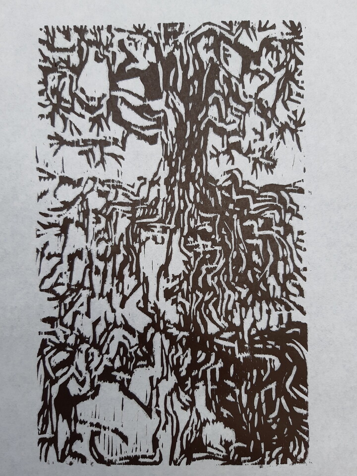 Reeks : bomen en mensen / boommensen