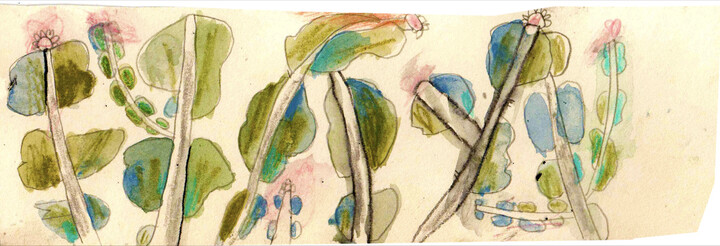 wild bloemen