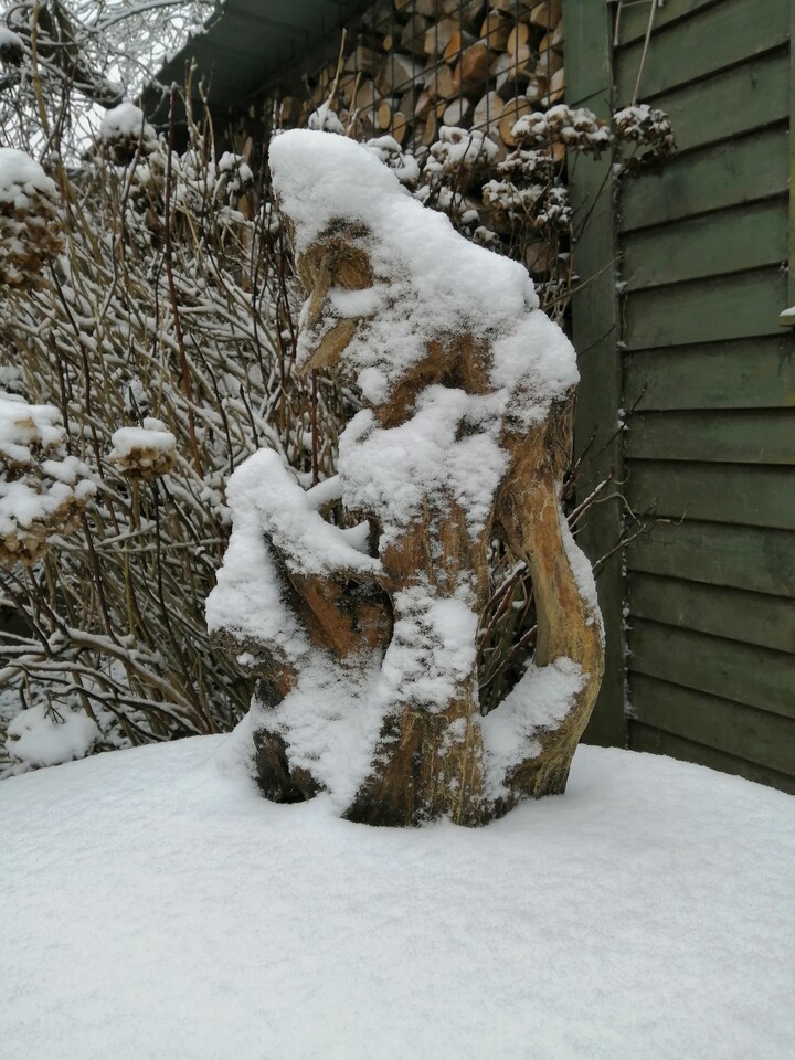 Rust