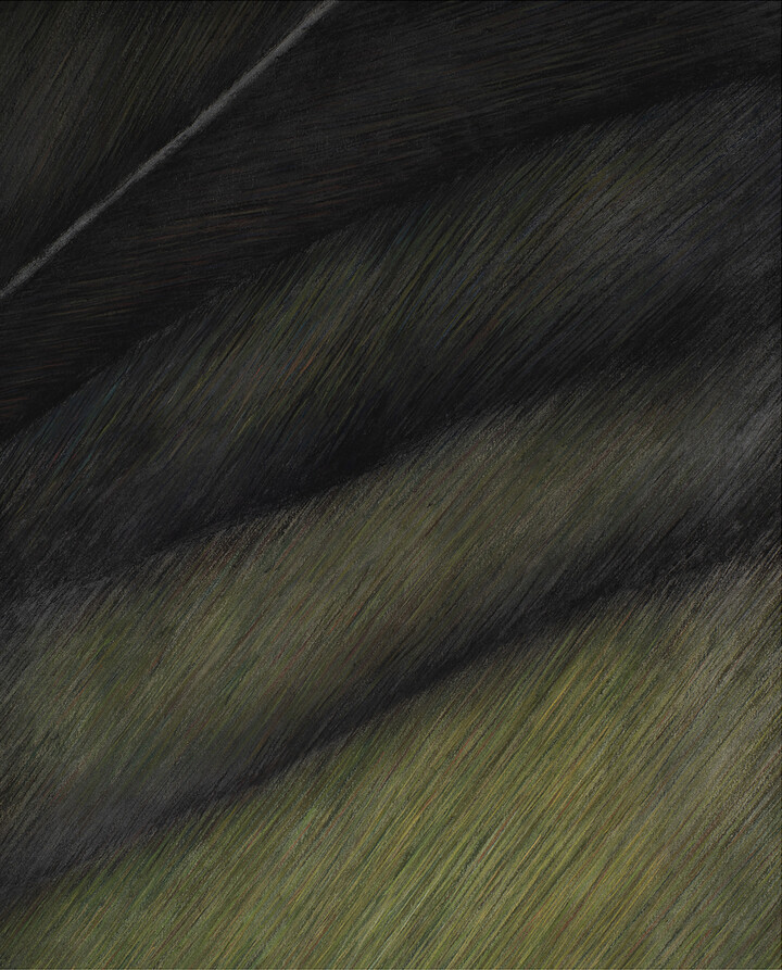 51.095408,3.641497 v2