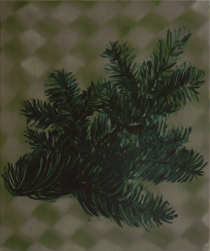 Glauca