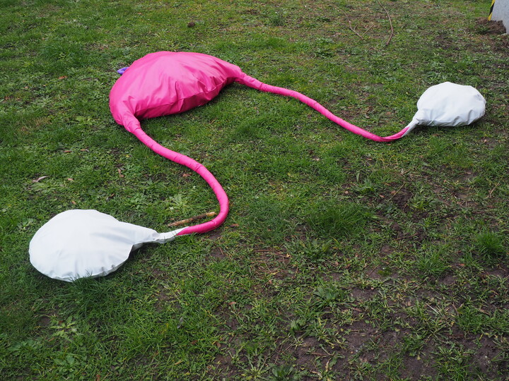 Throwaway reproductive system - Finally I am free