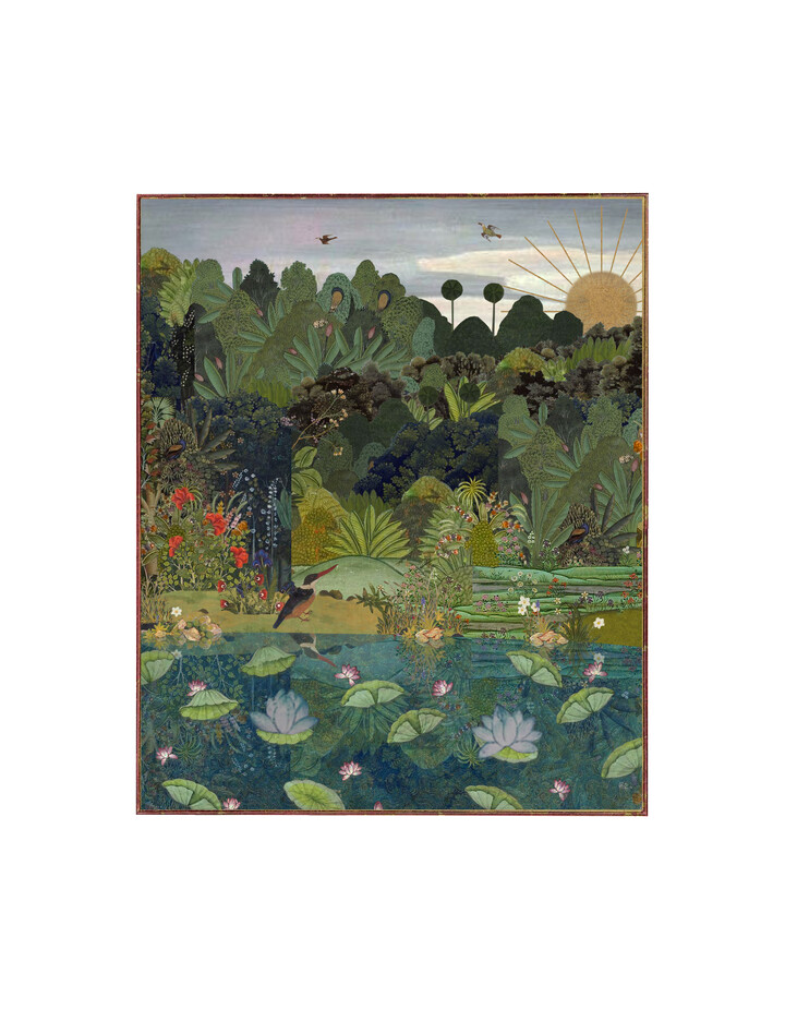 Indian Waterlilies 7