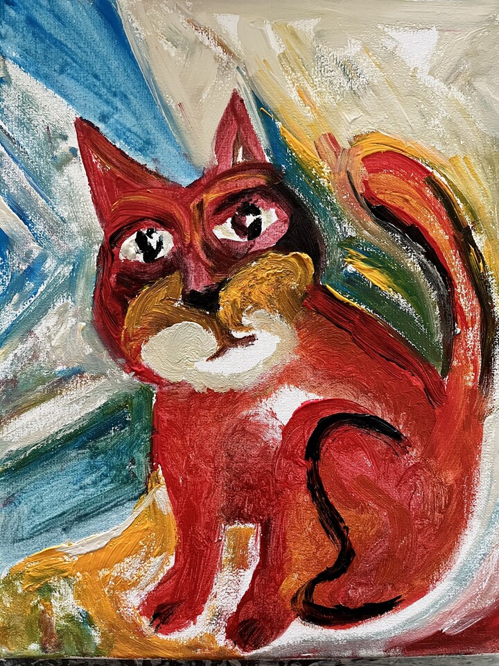 Cat