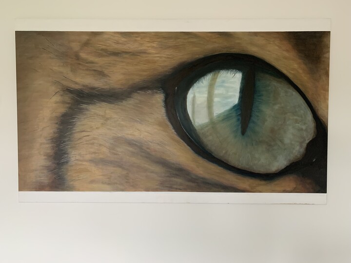 eye view 