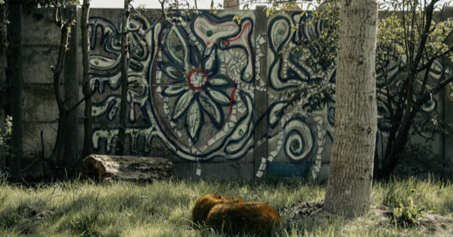 Another Wall Flower