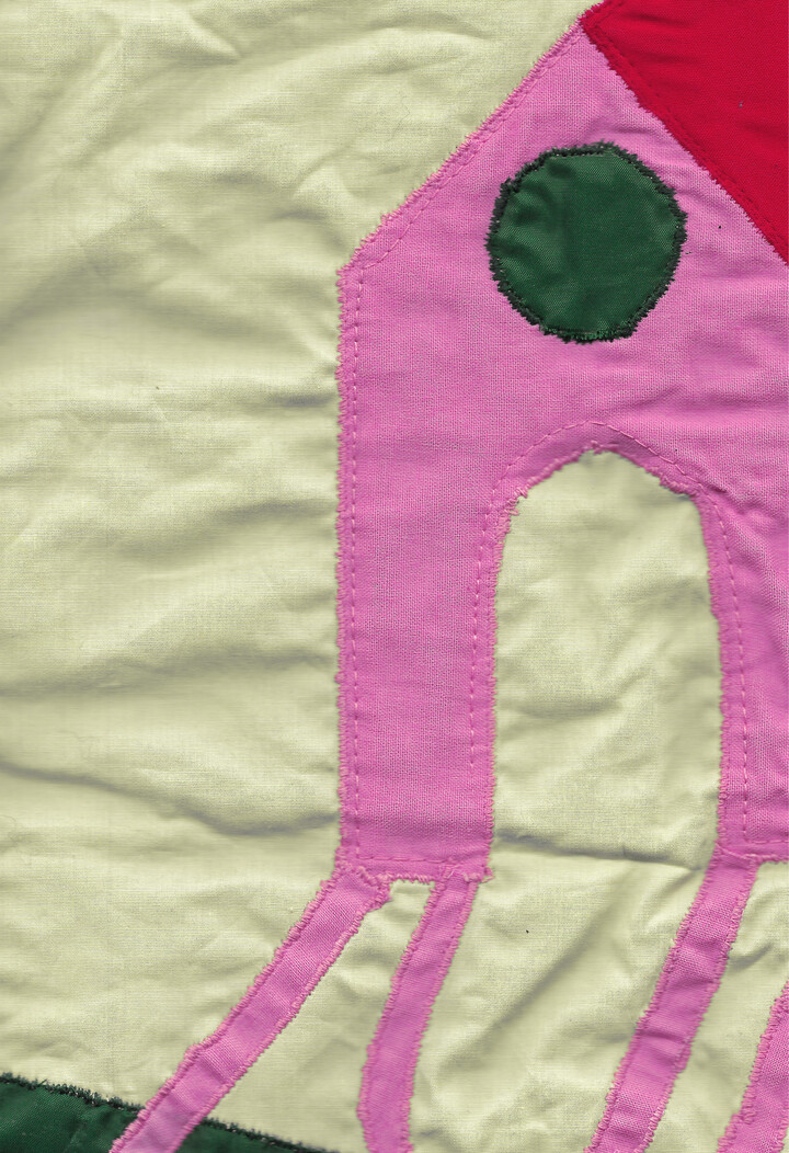 Het roze huis