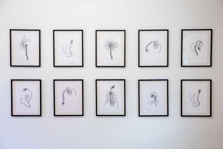 Fertility -Sperm Cells.