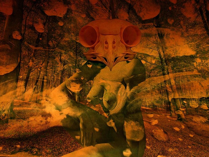 Fall... Into The Woods