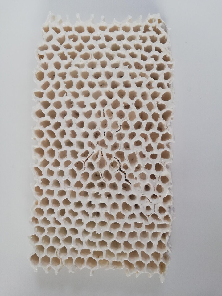 Wandpanelen : World of Bees