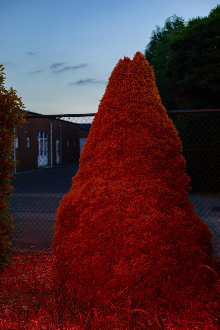 My grandparents' home at night (series)