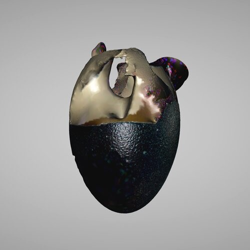 Egg of the Sages