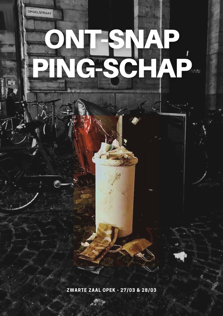 Het ONT_SNAP_PING_SCHAP