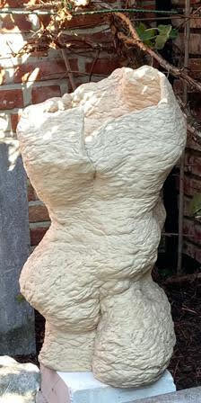 Torso 