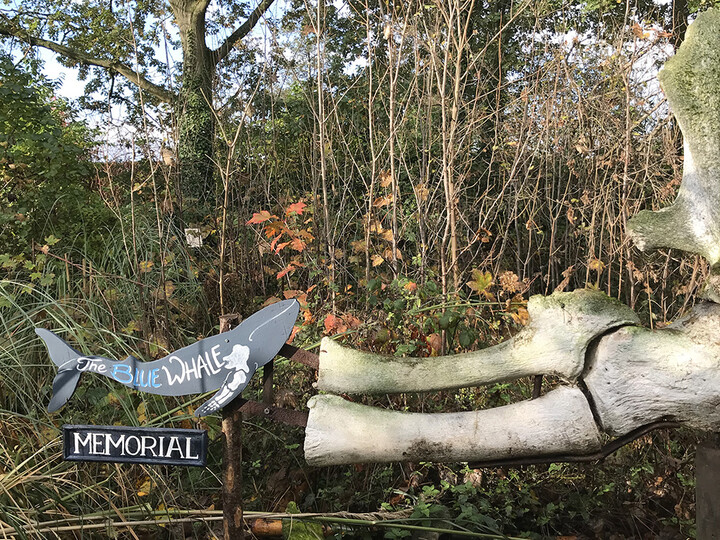 Memorial Blue Whale