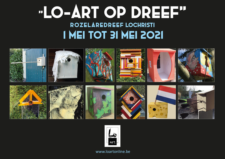 Vogelnestkastjes met Lo-art op dreef