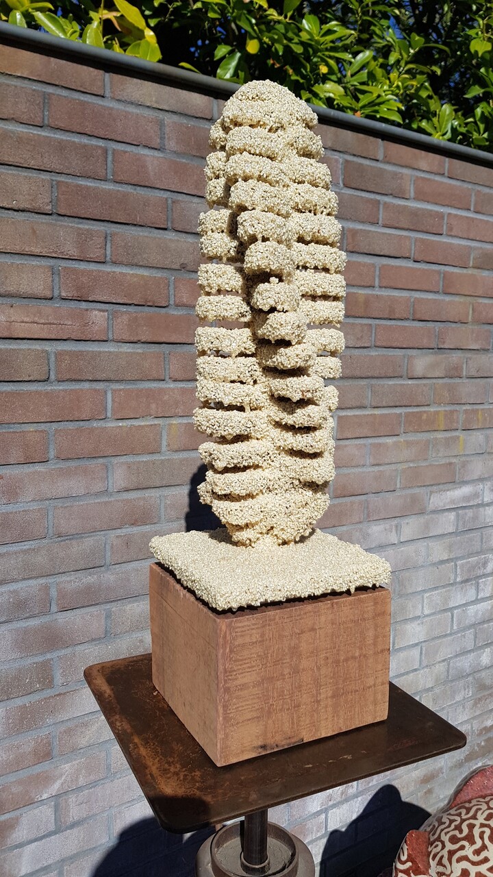 BROODT 04/01