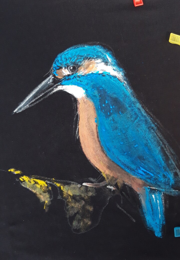 ijsvogel 1