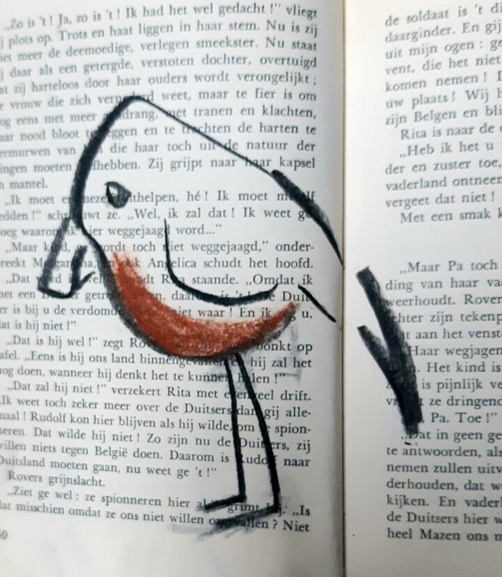 Vögel