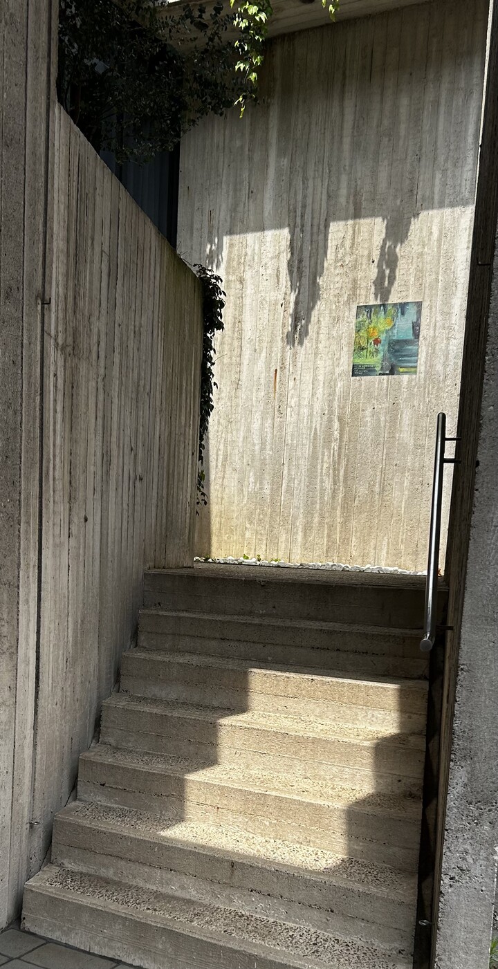 Solo la bellezza