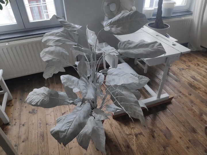 A Museum.  Geraard Mercatorstraat 46.