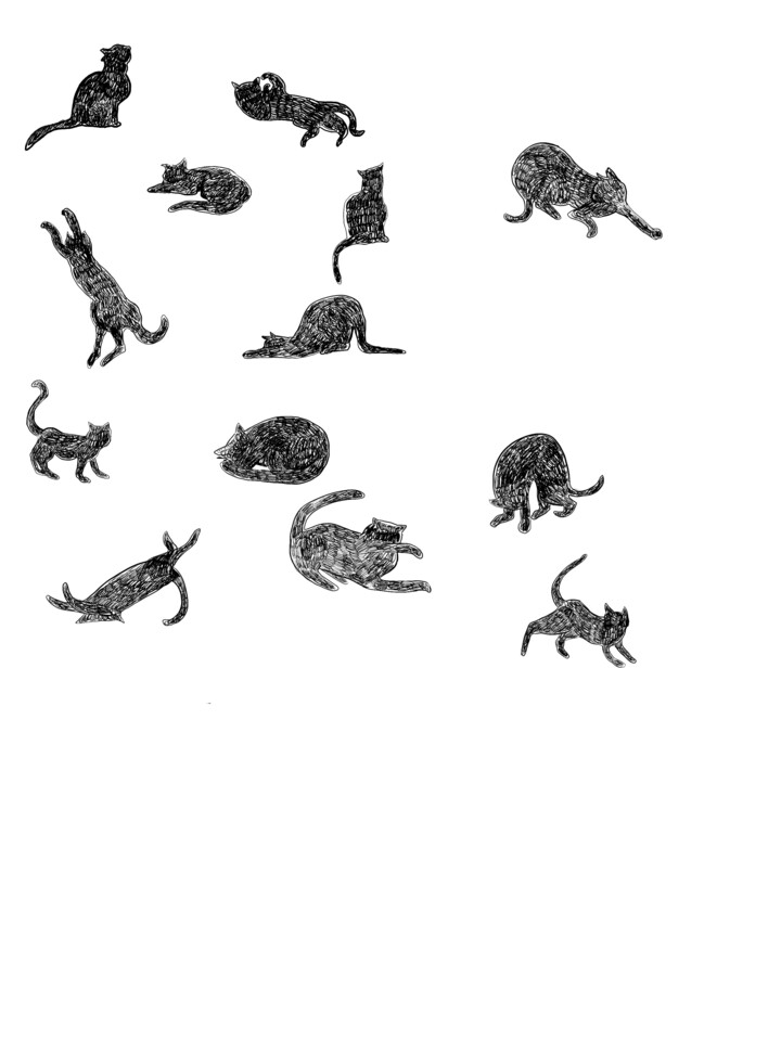 cats