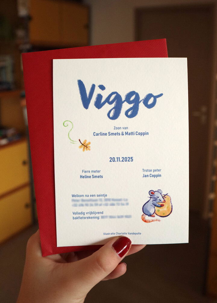 Geboortekaartje Viggo