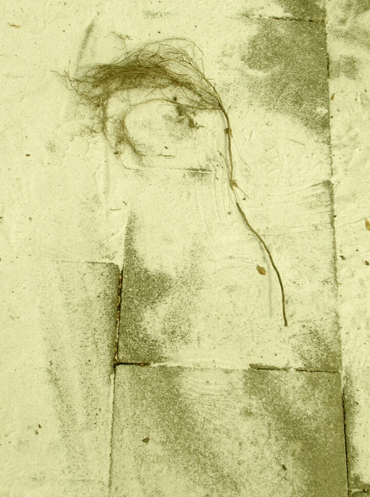 Hommage aan Dubuffet
