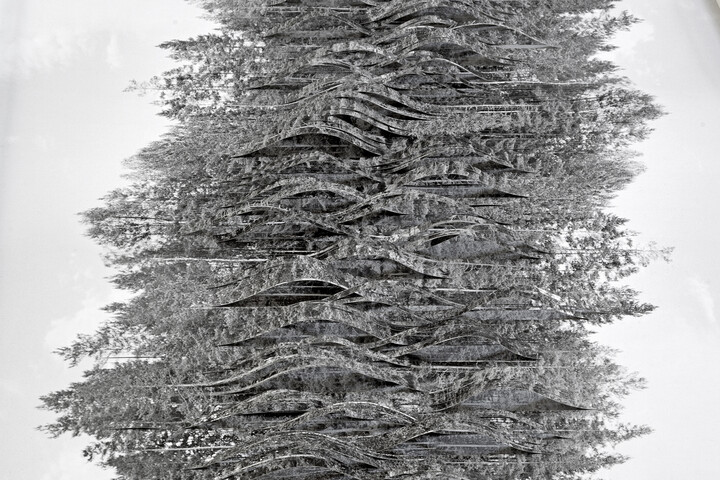 Montrer la rivière (roulis) 