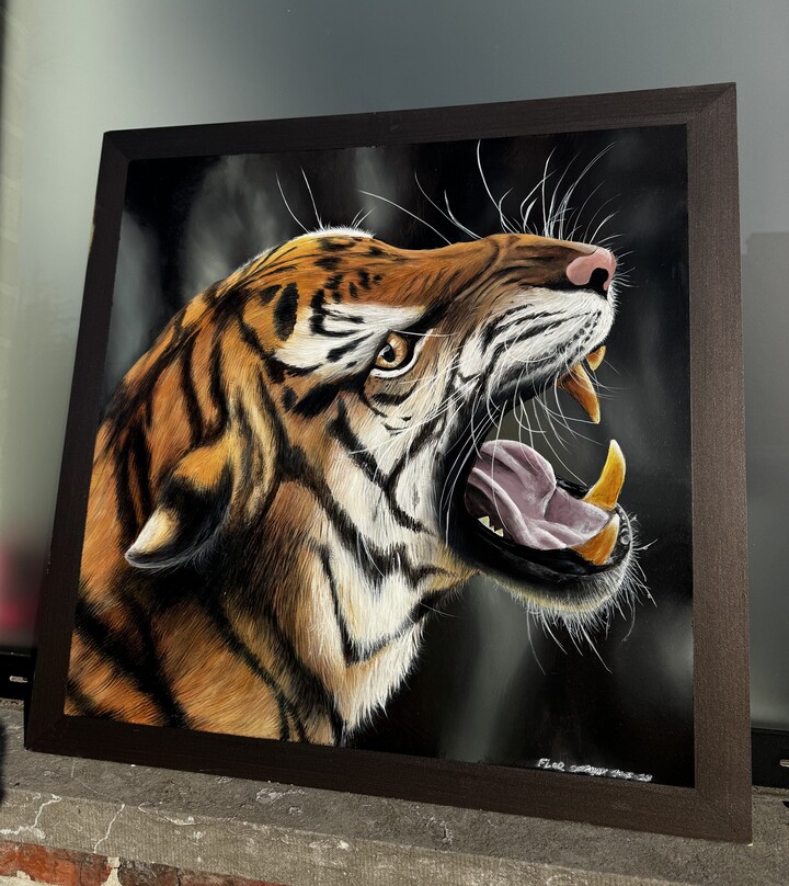 Tigres
