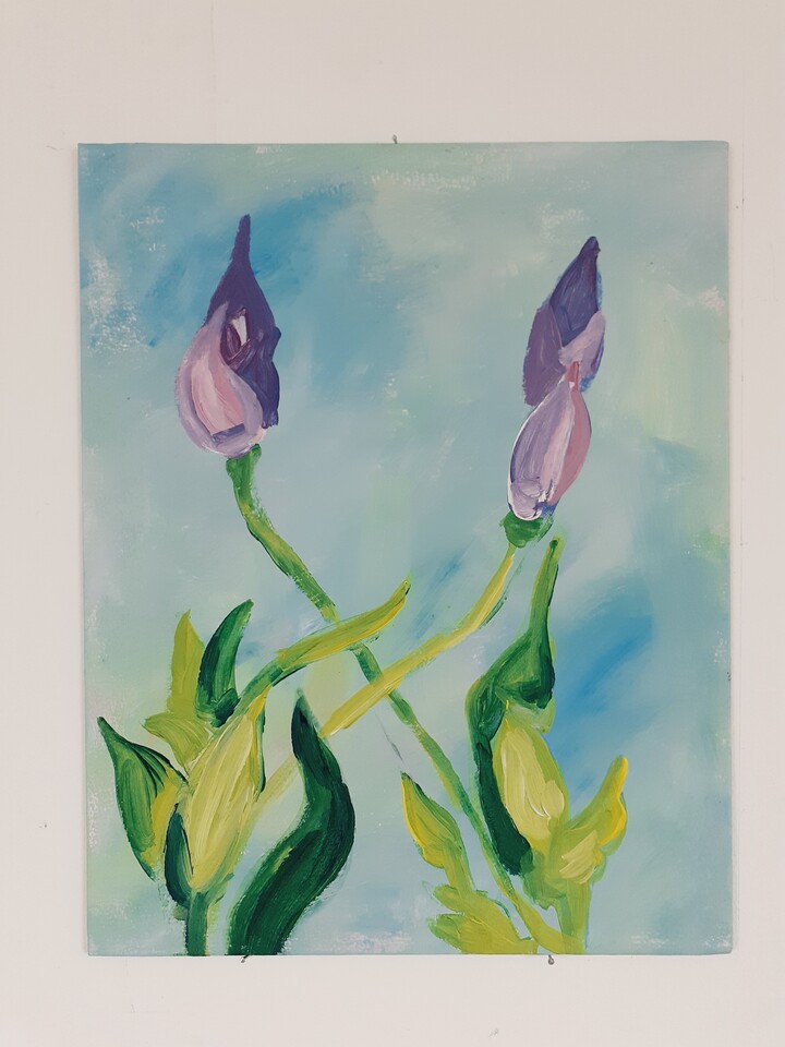Iris