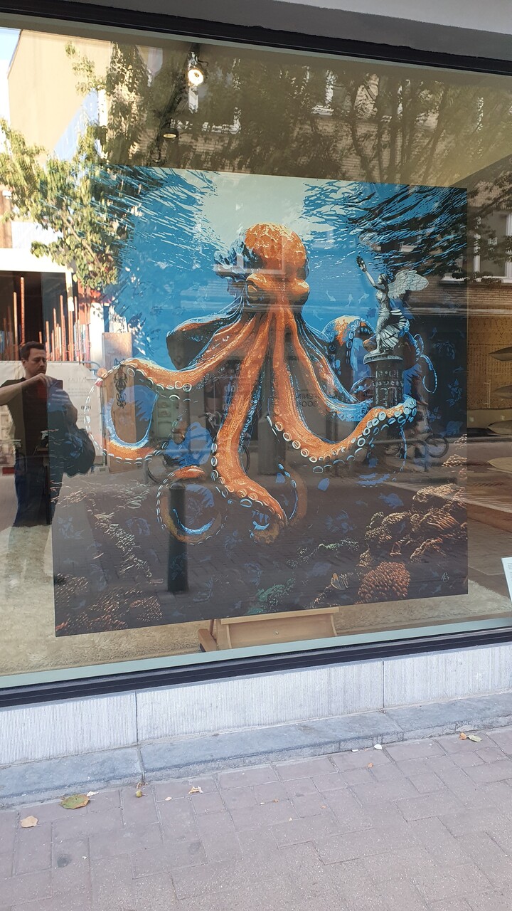 The Age of the Octopus