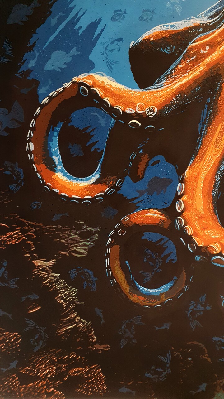 The Age of the Octopus