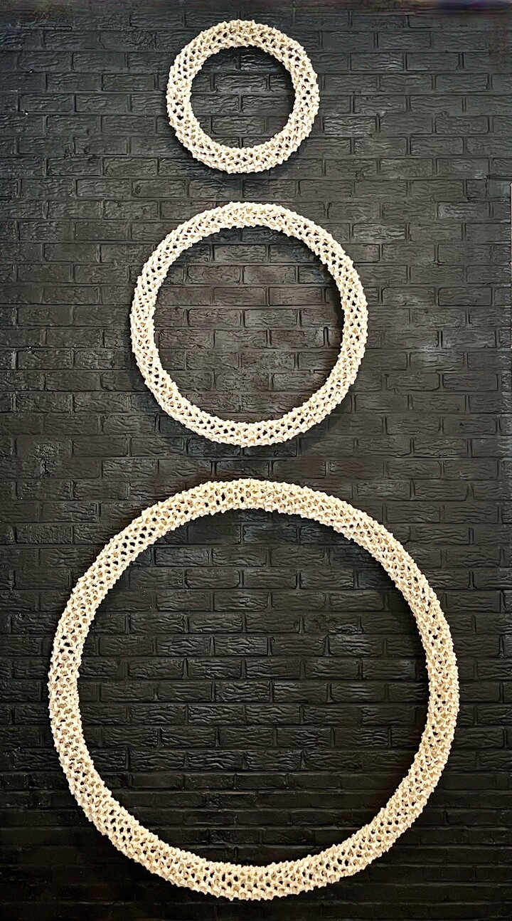 Cirkels