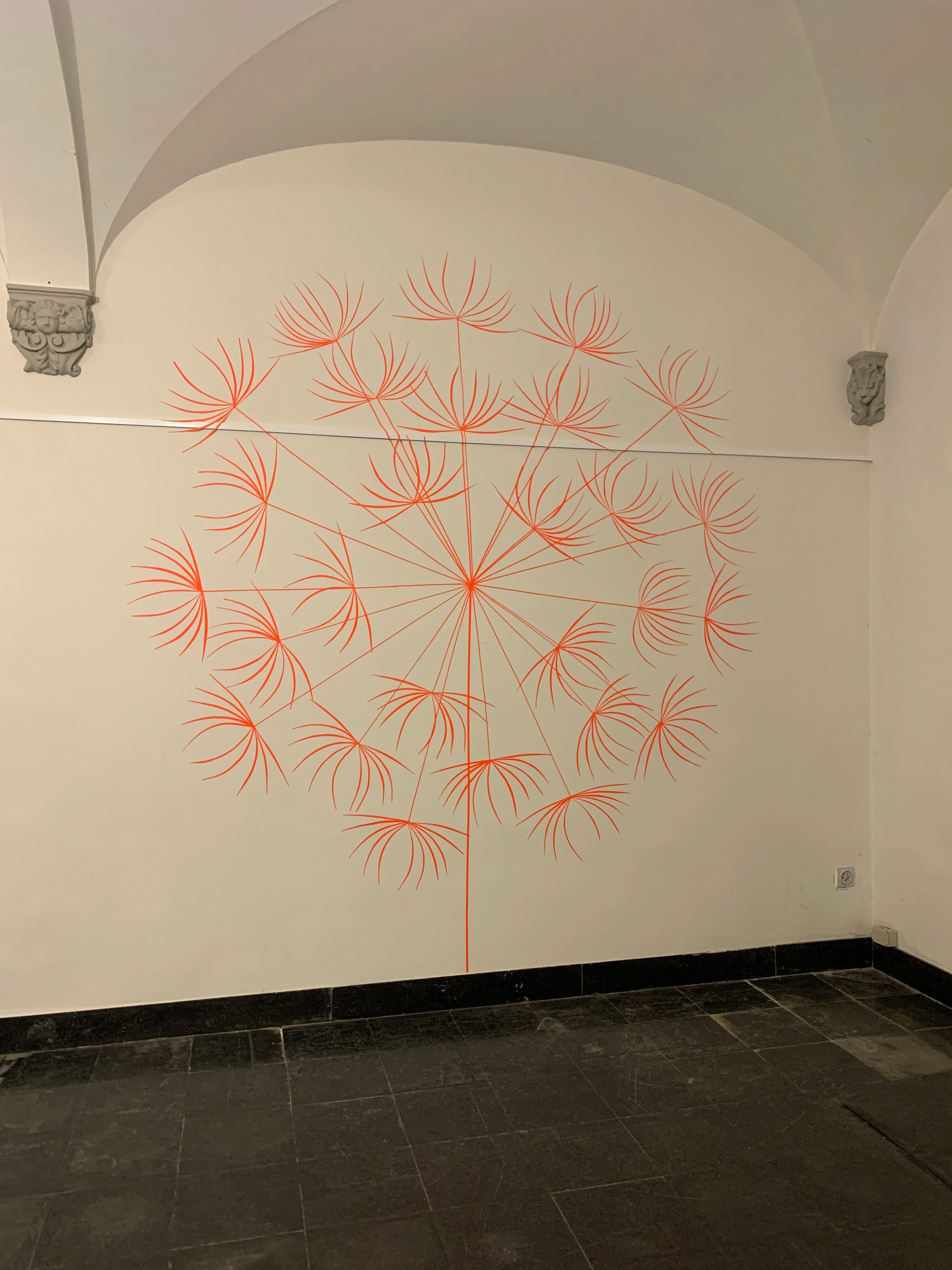 De Pluis